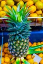 Yellow pineapple in the market Royalty Free Stock Photo