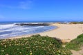 Bean Hollow Beach State Park with Ice Plants and Sand on Pacific Coast of California Royalty Free Stock Photo