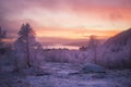 Yellow-pink sunset over snow-covered mountains, forest, houses Royalty Free Stock Photo