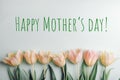 Yellow-pink tulips on light green background with words Happy Mother's day Royalty Free Stock Photo