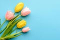 Yellow and pink tulips on a blue background. Spring bouquet of flowers. Concept of valentines day, easter, holiday, mother day Royalty Free Stock Photo