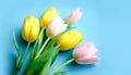 Yellow and pink tulips on a soft blue background. Spring bouquet of flowers Royalty Free Stock Photo