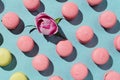 Yellow and pink vegan macaroons and rose bud knolled Royalty Free Stock Photo