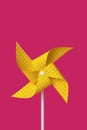 Yellow pinwheel on a fuchsia background