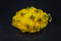 Yellow pitahaya on black background Royalty Free Stock Photo