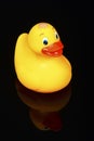 Yellow plastic bath time duck on black glass