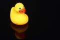 Yellow plastic bath time duck on black glass