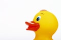 Yellow plastic bathtime duck Royalty Free Stock Photo