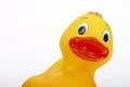 Yellow plastic bathtime duck