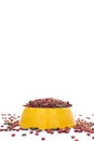 Yellow plastic bowl full with dry dog food isolated on white background. Top view grain pet food with copy space of text design. Royalty Free Stock Photo