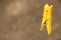 A yellow plastic clothes pin hanging on a wire Royalty Free Stock Photo