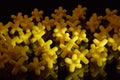 Yellow Plastic Crosses on a Black Background. Stock Photo