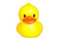 Yellow plastic duck Royalty Free Stock Photo