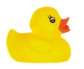 Yellow plastic duck Royalty Free Stock Photo