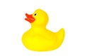 Yellow plastic duck Royalty Free Stock Photo