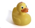 Yellow plastic duck toy Royalty Free Stock Photo