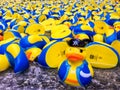 Yellow plastic ducks with blue jacket look like a pirate