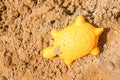 Yellow plastic toy sand form in turtle shape on the sand on a sunny day Royalty Free Stock Photo