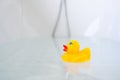 Yellow playful rubber duck float in the bathtub. Kids bath time concept. Funny toy for kits Royalty Free Stock Photo