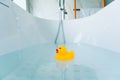 Yellow playful rubber duck float in the bathtub. Kids bath time concept. Funny toy for kits Royalty Free Stock Photo