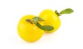 Yellow plum Royalty Free Stock Photo
