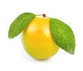 Yellow plum Royalty Free Stock Photo
