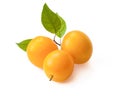 Yellow plum closeup Royalty Free Stock Photo