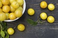 Yellow plum fruit Royalty Free Stock Photo