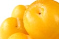 Yellow plums (clipping path) Royalty Free Stock Photo