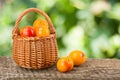 Yellow plums with leaf in a wicker basket on a wooden table with a blurry garden background Royalty Free Stock Photo