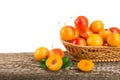 Yellow plums with leaf in a wicker basket on wooden table with white background Royalty Free Stock Photo