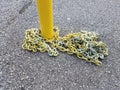 Yellow pole with metal chain on asphalt