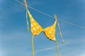 Yellow Polka Dot Bikini Royalty Free Stock Photo