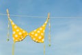 Yellow Polka Dot Bikini Royalty Free Stock Photo