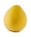 Yellow pomelo