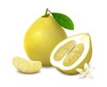 Yellow pomelo fruit on white background