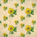 Yellow poppy flower vintage pattern Royalty Free Stock Photo