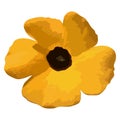 Yellow poppy flower Royalty Free Stock Photo