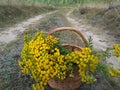 Very nice wooden basket filled with yellow flowers