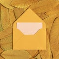 Yellow postal envelope on autumn yellow dry leaves.