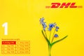 Yellow postal envelope with dhl logo and blue spring flowers. Fresh Scilla siberica flowers as a symbol of fast delivery. DHL is