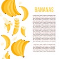 Yellow poster with illustration of bunches of banana and cuts of bananas and place for your text. Food banner, tropical Royalty Free Stock Photo