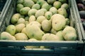 Yellow potatoes in plastic crate at market stand in Houston, Texas, USA Royalty Free Stock Photo