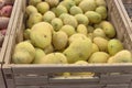 Yellow potatoes in plastic crate at market stand in Houston, Texas, USA Royalty Free Stock Photo