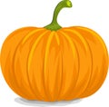 Yellow Pumpkin Royalty Free Stock Photo