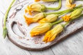 Yellow pumpkin flower