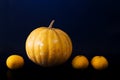 Yellow pumpkin and oranges on dark background. Fresh vegetables and fruits on black. Royalty Free Stock Photo