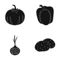 Yellow pumpkin, sweet red pepper, onion bitter, potatoes. Vegetables set collection icons in black style vector symbol