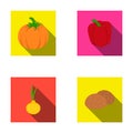 Yellow pumpkin, sweet red pepper, onion bitter, potatoes. Vegetables set collection icons in flat style vector symbol