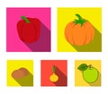 Yellow pumpkin, sweet red pepper, onion bitter, potatoes. Vegetables set collection icons in flat style vector symbol